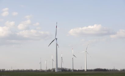 1622535786_IMG_4763