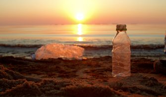 1661153217_5_Yaz__s__z