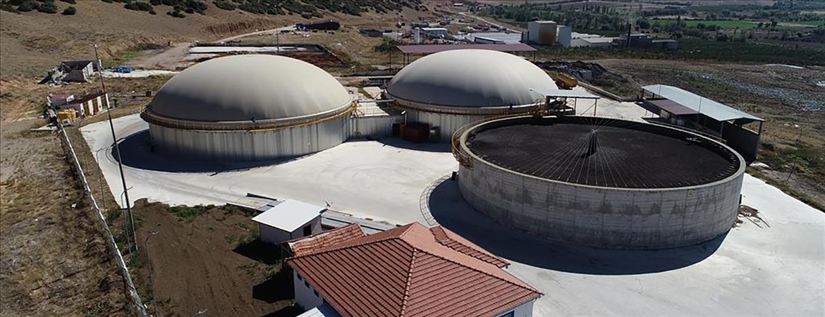 Meyve atıkları bu fabrikada elektrik enerjisine dönüşüyor