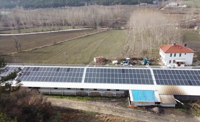 thumbs_b_c_b0c1a2506c2113623125c083bfe71504