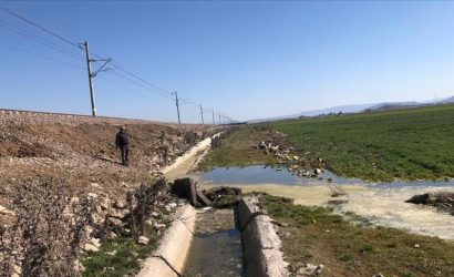 thumbs_b_c_b237860b1a38eafbf5de2336feb06a82