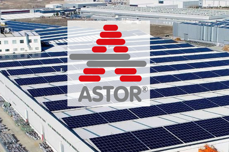 IMG_6CD89D-407C22-20648C-90FE3C-6BC5B1-43A83B