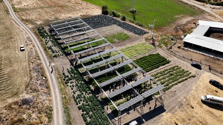 Türkiye’nin ilk güneş takip sistemli tarım GES’i açıldı