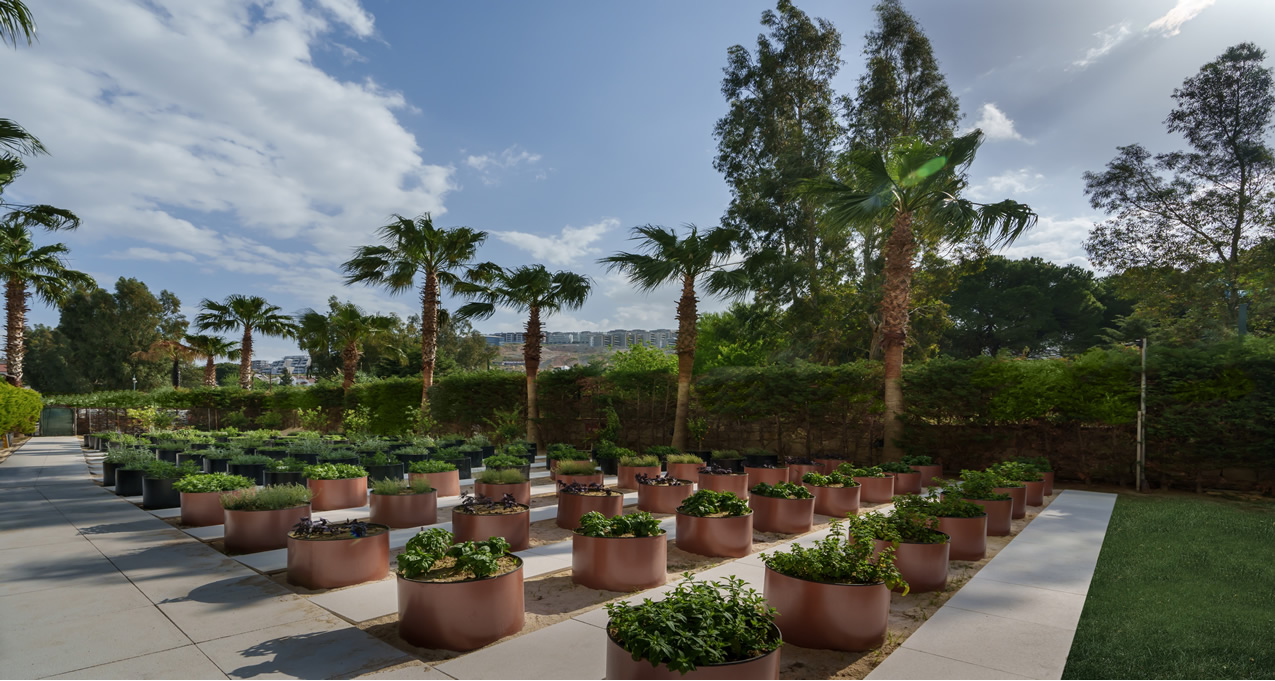 Liberty Hospitality Group, Karbon Salınımını Azaltma Hedefi