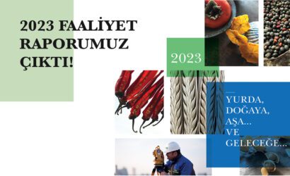 aksa_dogalgaz_faaliyet_raporu