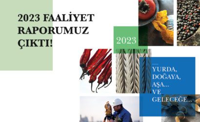1721648636_gorsel