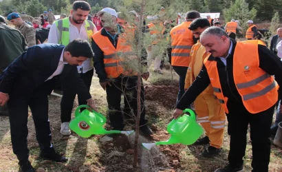 Despaj_enerji_Kaymakam_ve_GM_Karag_fidan_dikerken