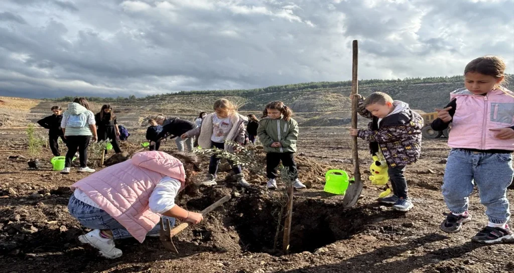 Yeniköy Kemerköy Enerj zeytin_fidani_dikimi
