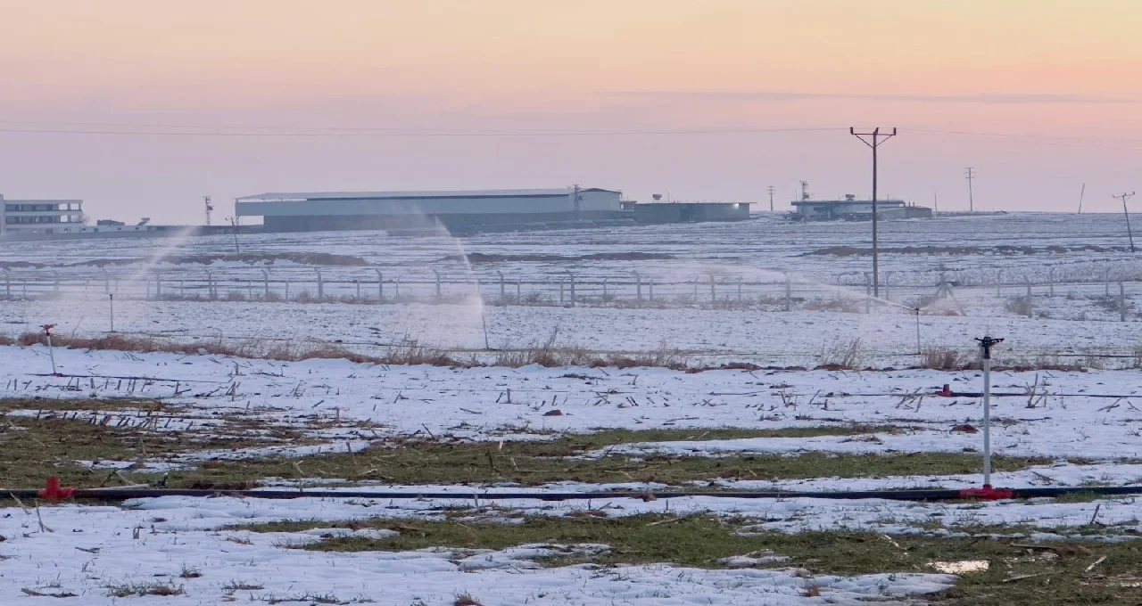 Şanlıurfa’da Kar Altındaki Tarlada Kaçak Elektrik Skandalı