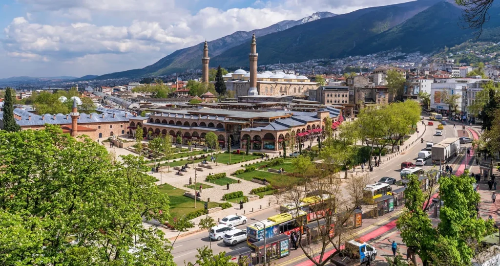 bursa