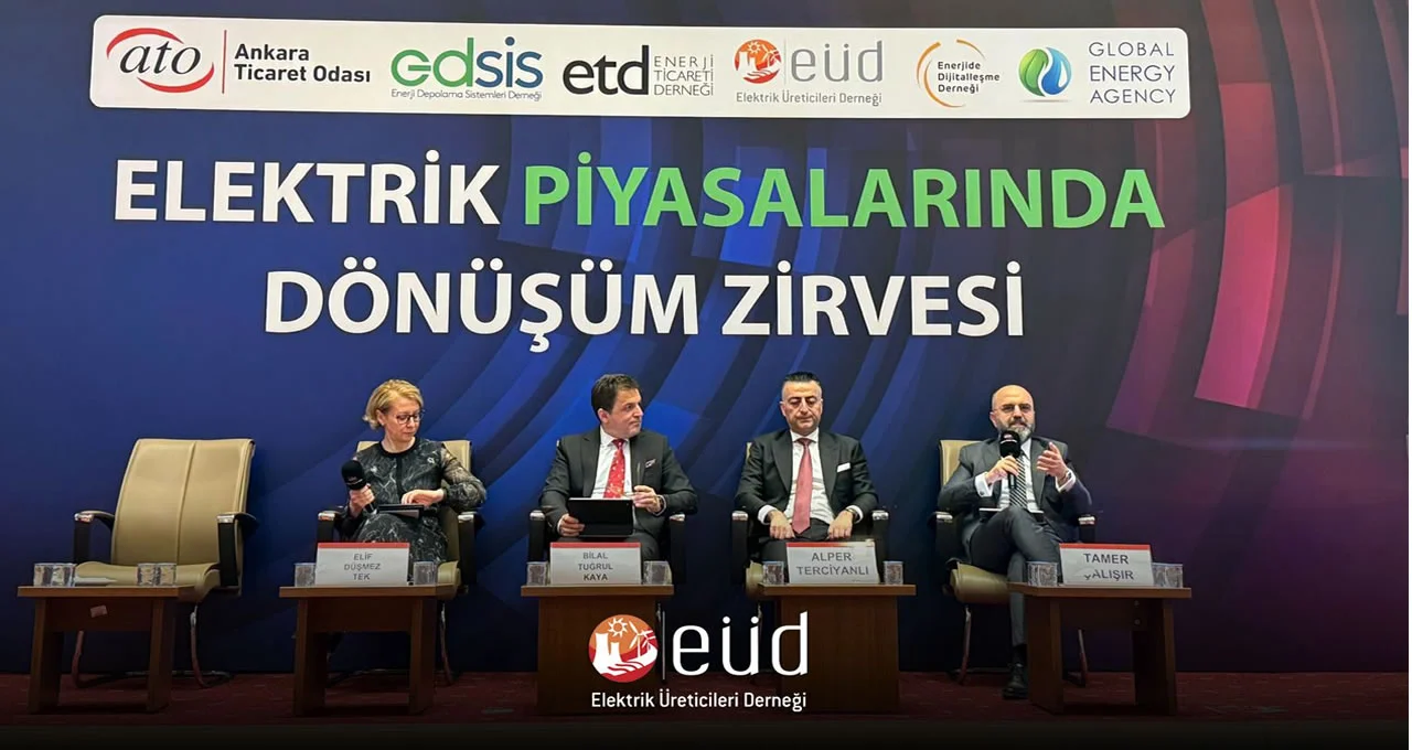Enerji Sektöründe Dönüşümün Anahtarı Depolama ve Regülasyon