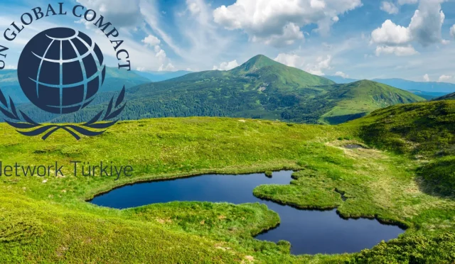 UN Global Compact Türkiye