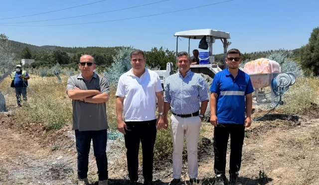 Yeniköy Kemerköy Enerji Taşınan Zeytin Ağaçları
