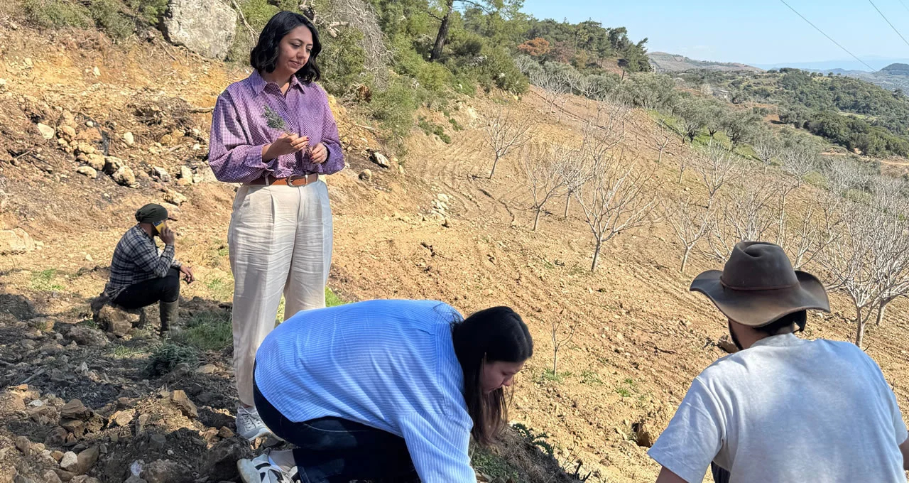enerjisa aydın onarım tarım proje 2