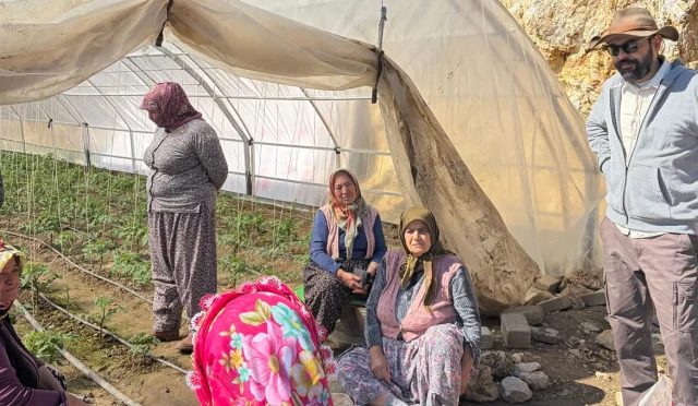 enerjisa aydın onarım tarım proje 3