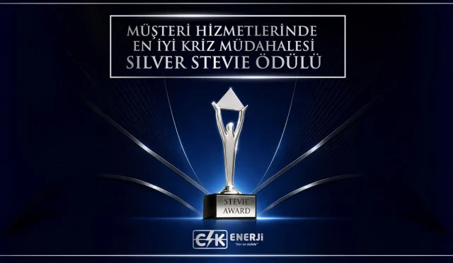 CK_Enerji Silver_Stevie_Odulu