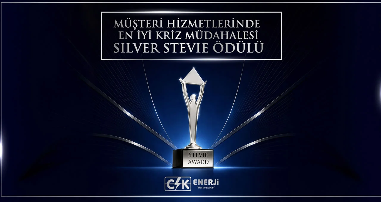 CK_Enerji Silver_Stevie_Odulu