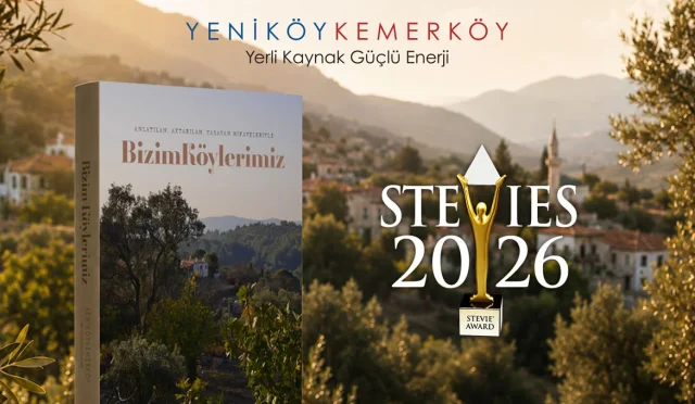 YKEnerji_BizimKoyler_Stevie