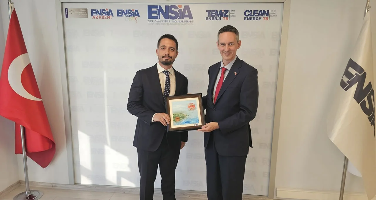 ENSİA Murat Çekirdek - David Reed