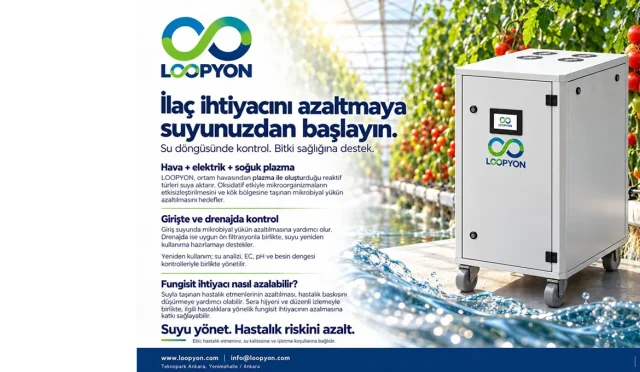 loopyon