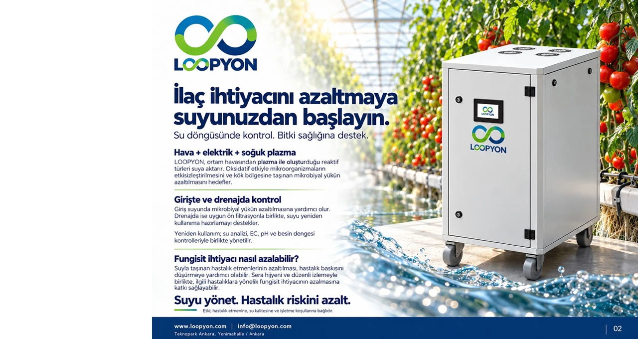 loopyon