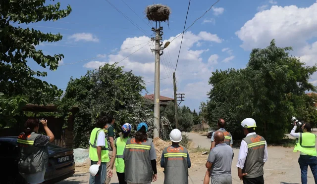 Adm ve Gdz Elektrik’ten Göçmen Kuşlara Güvenli Gökyüzü 1