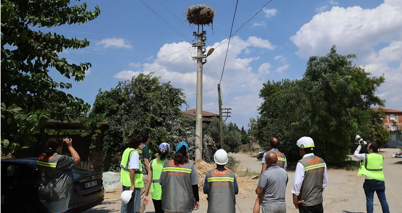 Adm ve Gdz Elektrik’ten Göçmen Kuşlara Güvenli Gökyüzü 1