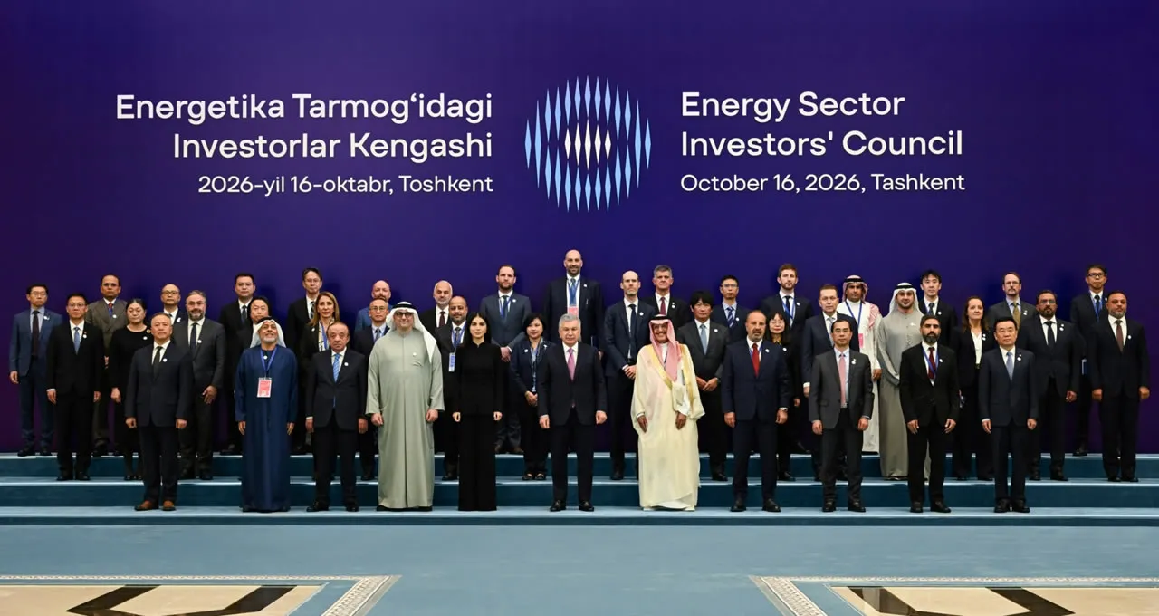 Aksa Energy Sector Investor Council